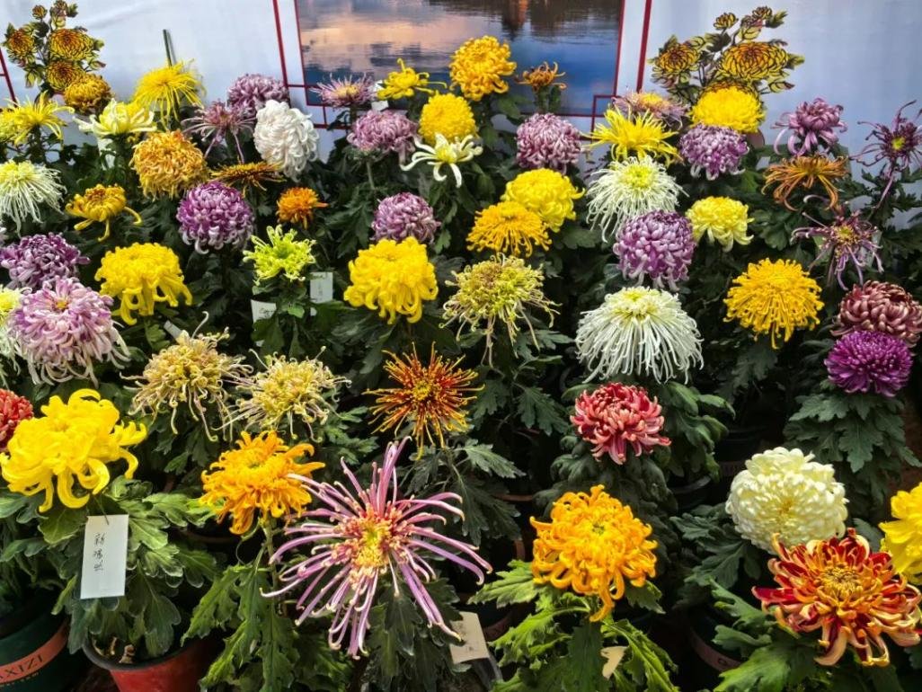 🌳 히미시 해빈식물원 시사이드 파크 (히미시 카이힌 쇼쿠부츠엔 시-사이도 파-쿠) 이미지 7